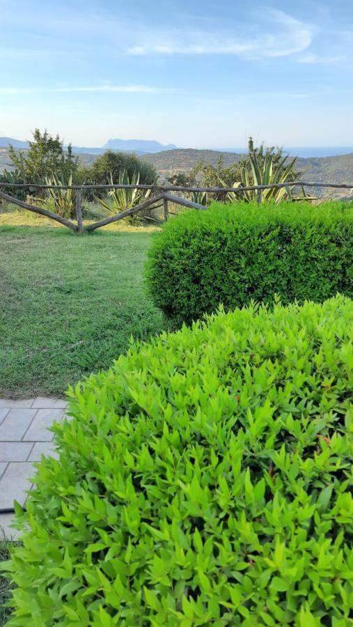 Agriturismo Irghitula ポザーダ エクステリア 写真